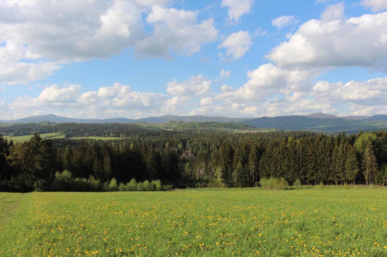 Landhotel Kleblmuehle Grafenau  Exteriör bild